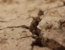 Улучшение состава почвы на участке Признаки и причины почвоутомления